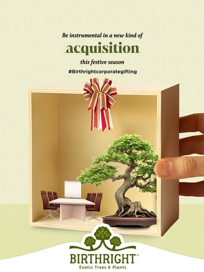 This festive season, be instrumental in a new kind of acquisition: acquiring a greener office space. A magnificent bonsai tree can transform a meeting room, symbolizing growth, stability, and long term vision.