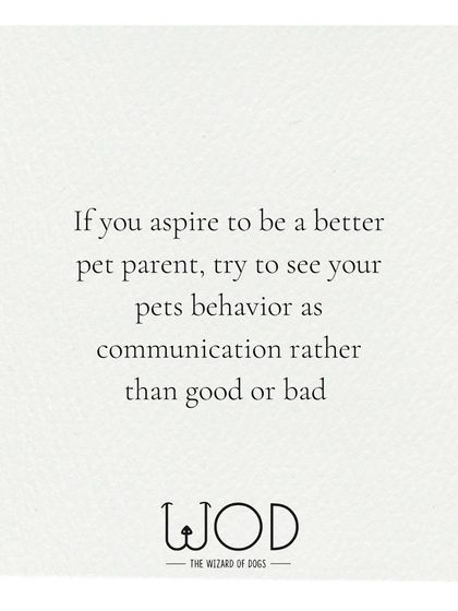If you want to be a better pet parent, try seeing your dog's behavior as communication rather than simply "good" or "bad." Every action serves a purpose. My job is to help you figure out the 'why' behind the behavior so we can address the underlying need.