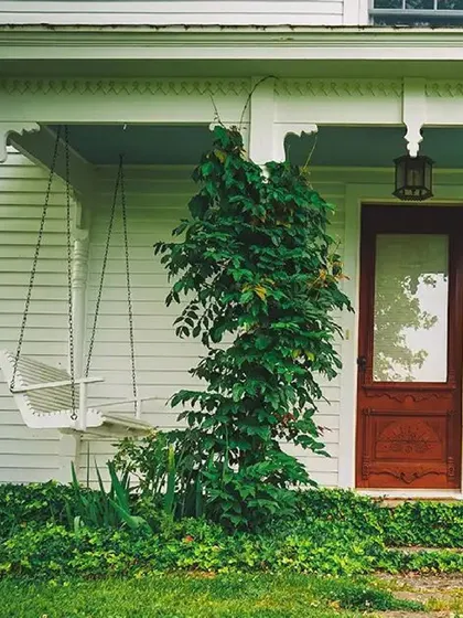 Want to create a more relaxing outdoor space? Learn how to declutter your patio, balcony, or garden with these helpful tips and tricks.