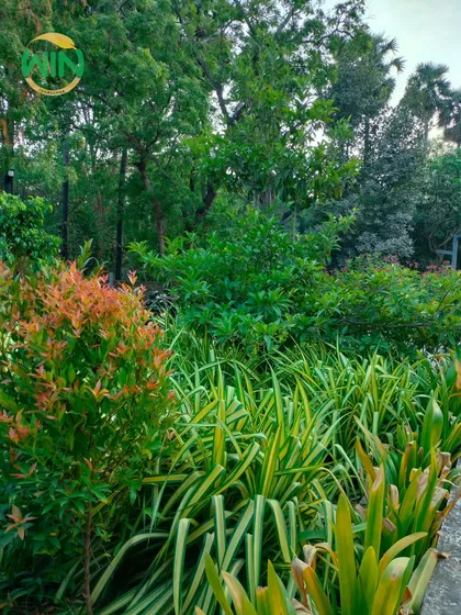 We believe nature is the ultimate art form. This section of the garden showcases a variety of shrubs and plants with different leaf shapes, colors, and textures, creating a rich and diverse greenscape.