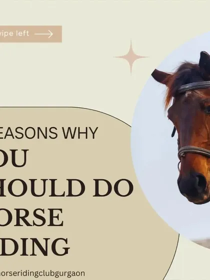 A graphic titled "5 Reasons Why You Should Do Horse Riding," introducing the key benefits we believe in.