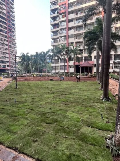 Large-Scale Lawn Installation photo 4