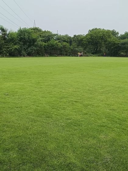 Another shot of the lush green fields at my nursery. I cultivate different varieties of grass to suit the specific climate and soil conditions of Delhi.