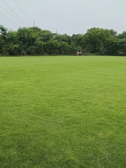 A wide view of another large lawn project. My grass is grown to be durable and withstand regular use, making it great for public areas.
