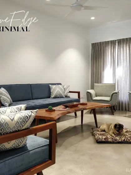 A minimal living room design featuring a live-edge coffee table, comfortable blue sofa, and simple concrete flooring. Even the pug approves of the comfort.
