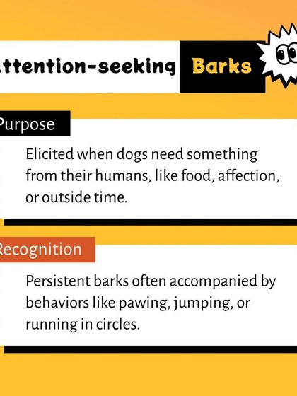 Pethowz - Pet Parent Education Decoding Your Pet's Behavior photo 6