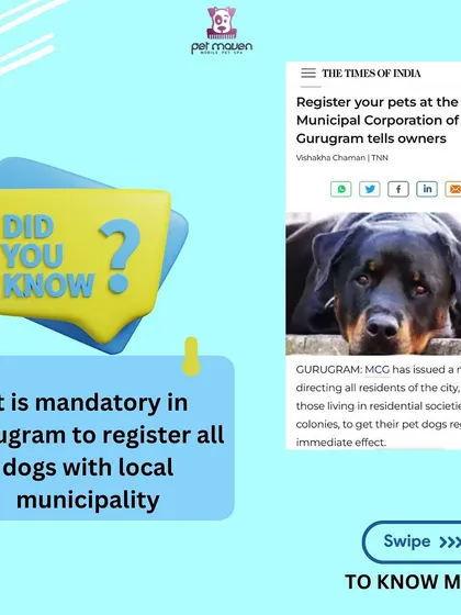 Did you know? The Municipal Corporation of Gurugram (MCG) has made it mandatory for all pet dogs in the city to be registered. We help you fulfill this requirement without any hassle.