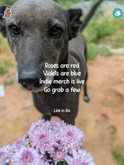 Sometimes, a simple picture says it all. This sweet Indie reminds us that our merchandise is more than just a product; it's a way to give back and show love to the dogs who need it most.