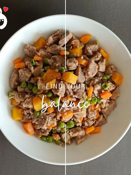 Hungry Eyes - Freshly Cooked Dog Meals A Look Inside the Bowl: Our Meal Menu photo 11