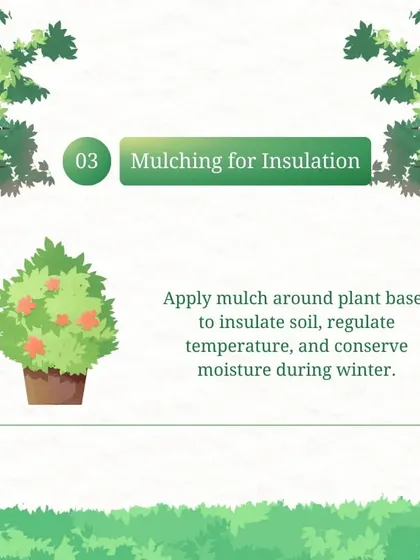 Protecting your garden during Delhi's harsh winters is crucial. Applying mulch is one of the techniques we use to insulate the soil and regulate temperature, ensuring your plants stay safe and healthy through the cold.