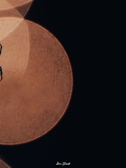 A close-up of the spider against the Diwali bokeh. This shot creates a strong silhouette against a single large orb of light, resulting in a bold and graphic composition.