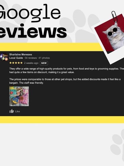 Oh My Dawg - Pet Grooming Services Hear from Our Happy Clients photo 3