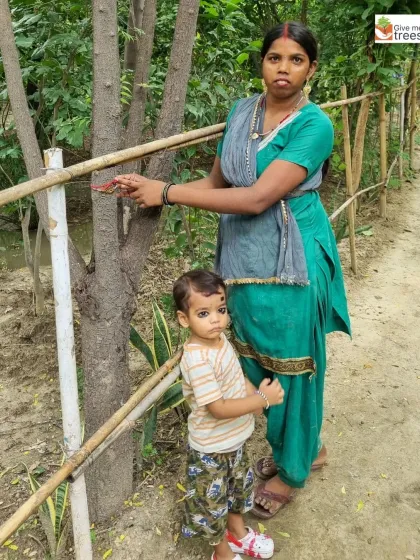 A mother and child tie a rakhi to a young tree. Our Vriksha Bandhan campaign encourages people to form a personal bond with the trees in their community, promising to protect them.