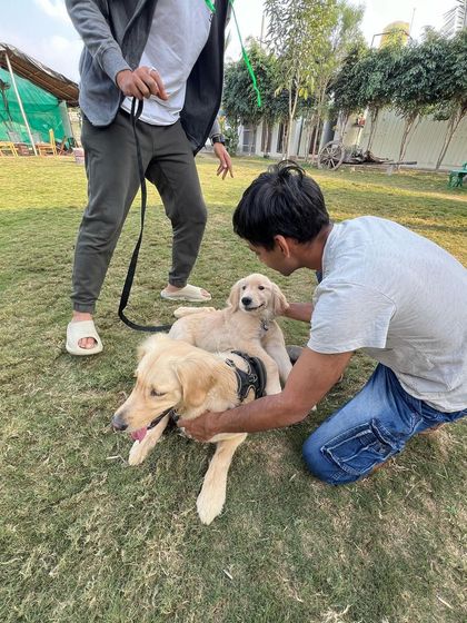 Poochkoo Mutts & Nutts - Dog Training & Behavior Modification Life at the Ranch photo 22