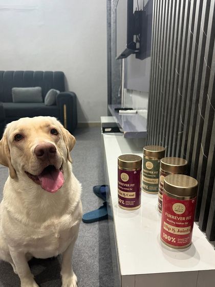 Another adorable shot of Buffy, the paw princess, with her lineup of functional cookies. A happy dog with healthy treats is a perfect combination.