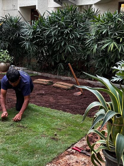 Make My Garden - Garden Design & Landscaping Commercial & Office Greening photo 7