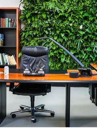 Vertical Gardening & Green Wall Installation