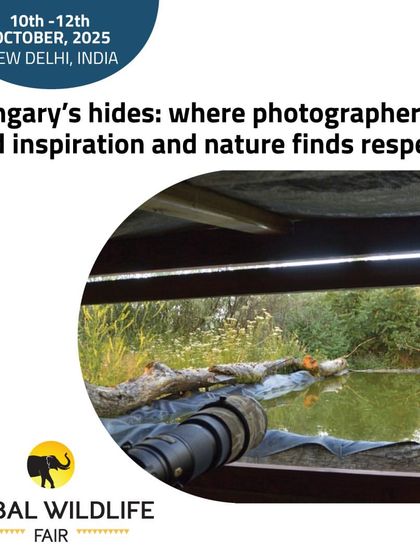 Creative Nature Workshops photo 7