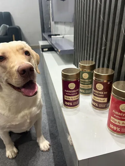 Buffy looks so happy with her new stash of treats! It's wonderful to know these healthy cookies are keeping her both happy and healthy.
