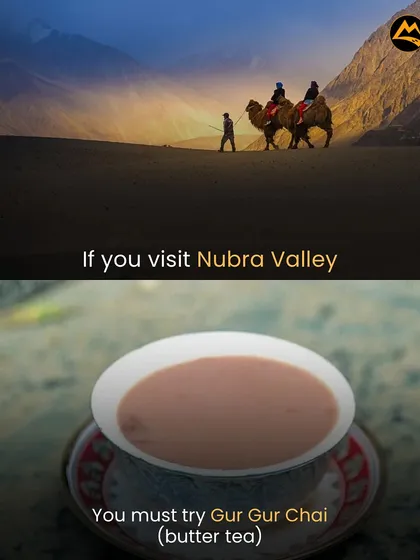 Trying the local Gur Gur Chai (butter tea) in Nubra Valley is a must. It's a unique taste of the Ladakhi culture and perfect for the cold weather.