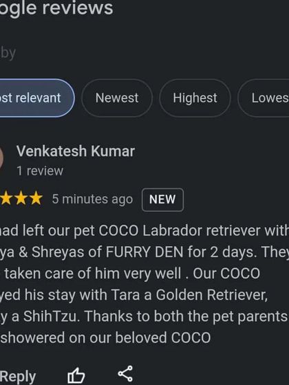 FurryDen - Home Dog Boarding Words from Our Happy Pet Parents photo 10