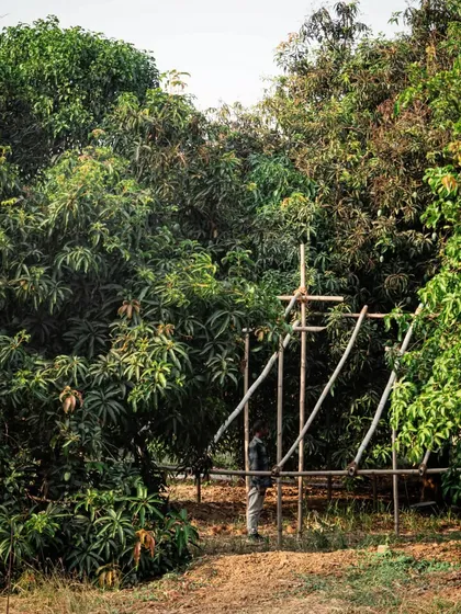 A simple timber frame mock-up helps us test the scale and placement of an opening within a dense grove of trees. This kind of on-site sketching is a fundamental part of our design process.