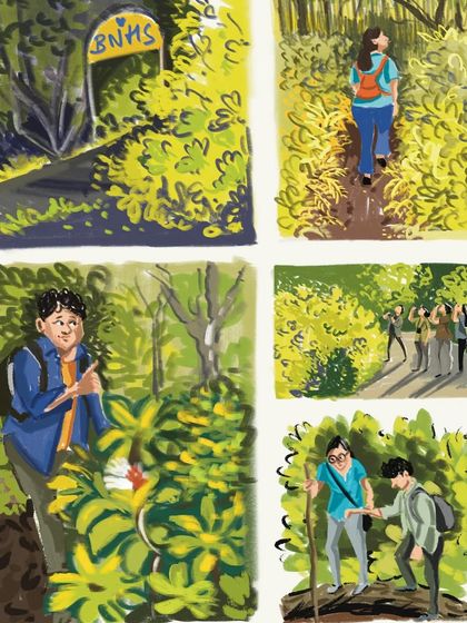 Landscapes & Travel Sketches photo 31