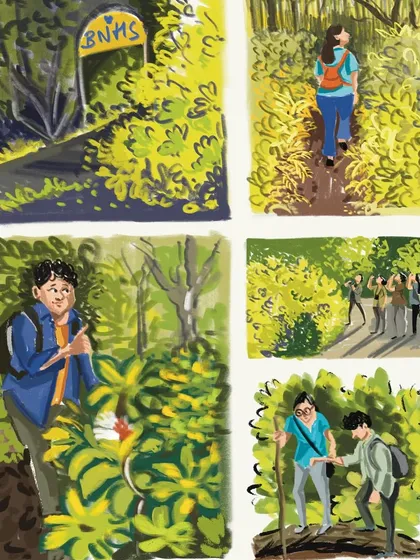 A collage of my digital illustrations from a wonderful nature walk with the AWNW Mumbai group, celebrating the beauty of the outdoors and the people who explore it.
