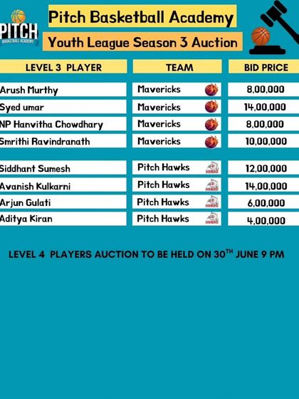 Pitch Basketball - Youth Basketball Leagues Meet the Teams: The Draft & Rosters photo 5