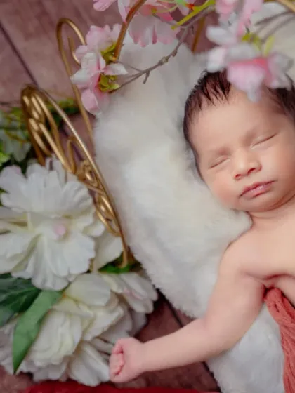 Blossoming with love. This overhead shot shows a baby sleeping on a miniature golden bed, surrounded by a cascade of white and pink flowers.