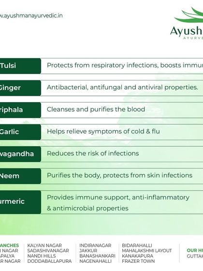 This guide showcases the benefits of key Ayurvedic herbs. Learn how Triphala purifies the blood, Neem protects the skin, and Turmeric provides powerful anti-inflammatory and immune support.