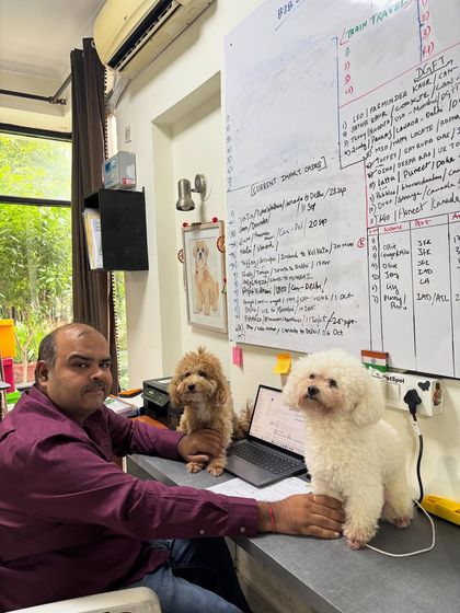 The team is all here. Archie and Columbus sit attentively on the desk, proving that at PetSpot, pets are not just guests, they are family and part of the team.
