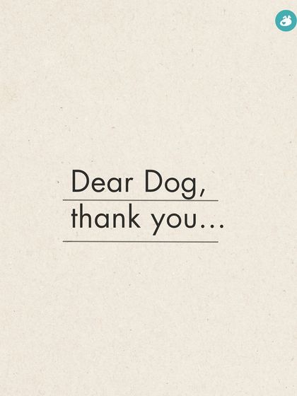 The Pack - Online Pet Parent Community The Fun Side of Pet Parenting photo 23