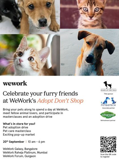 WeWork partners with us to celebrate furry friends. This poster details an adoption drive and pet care masterclass, showing how our events are also about educating the community.