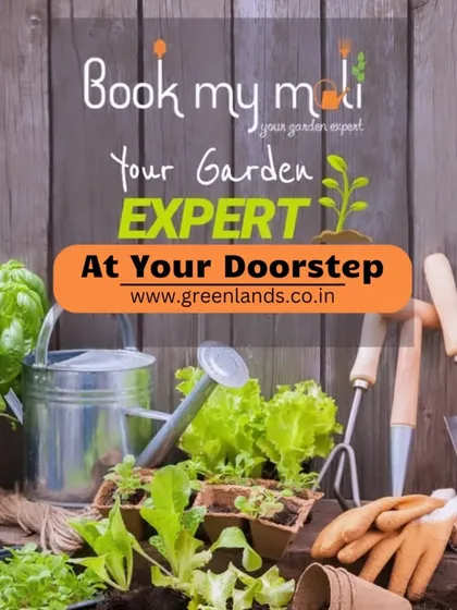 Your expert gardener is just a call away. We bring our professional mali services directly to your doorstep anywhere in Mumbai, Thane, or Navi Mumbai.