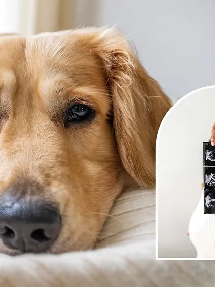 A beautiful diptych showing a close-up of Hugo's soulful eyes and a shot of his mom holding the sonogram. It’s a touching tribute to the dog who is about to become a big brother.