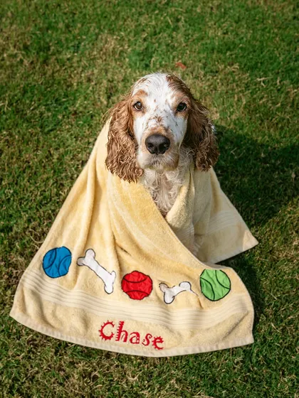 All wrapped up and cozy after a swim. Chase poses in his personalized towel, a cute and memorable moment from his Alibaug adventure.
