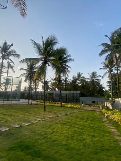 A view of the completed lawn and pathways at Vaishnavi Tech Square, with newly planted coconut palms.