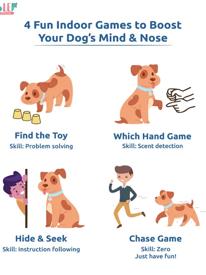 A rainy day doesn't have to be boring. This infographic shows four fun indoor games like "Find the Toy" and "Hide & Seek" to boost your dog's mind and nose, turning playtime into brain training.