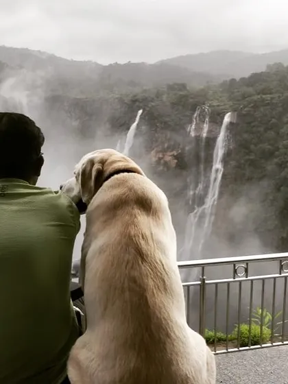 The bond between a human and a dog is something special. We nurture this connection through shared experiences, like this quiet moment enjoying the magnificent view of Jog Falls. It’s these memories that last a lifetime.