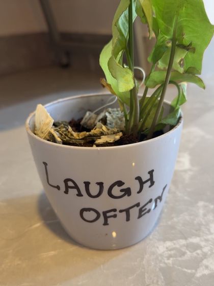 A simple reminder to "Laugh Often" because we believe that joy and play are essential for learning. We've created an environment where children feel comfortable enough to be silly, take creative risks, and find happiness in movement.