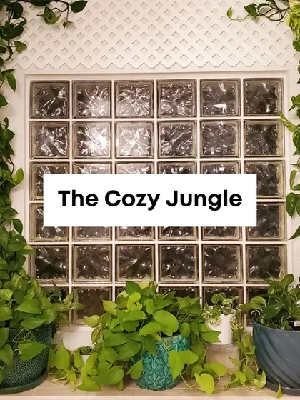 This "cozy jungle" corner is created using several Pothos plants. Their trailing vines and lush leaves are perfect for framing windows or filling spaces with vibrant greenery, and they are exceptionally good at purifying indoor air.