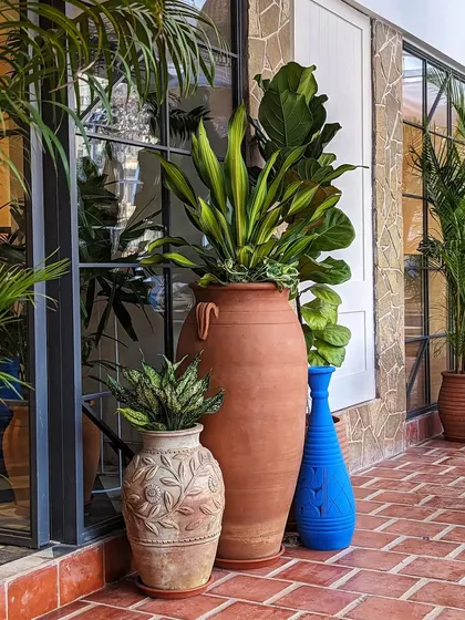 A happy accident! This picture from a restaurant setup we did yesterday just happens to be in the colors of the Indian tricolor. It’s a beautiful example of how terracotta, blue, and green can come together.