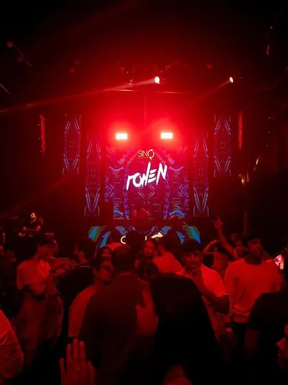 The dance floor at SinQ, Goa, bathed in red light.