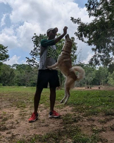 Dog Park Access