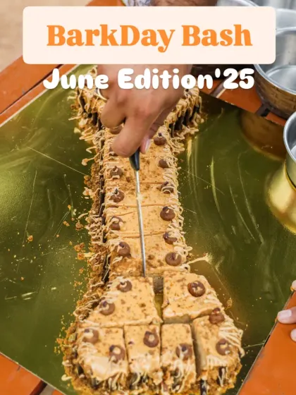 Therpup - Pet-Friendly Cafe & Restaurant Paw-ties & Celebrations photo 15