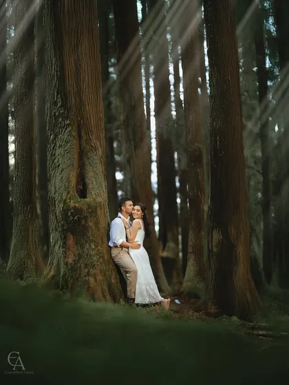 Finding a quiet corner in the woods, with beautiful rays of light breaking through the canopy. This intimate portrait uses natural light to highlight their connection, creating a soft and magical feel.