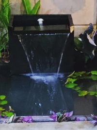 Garden Maintenance