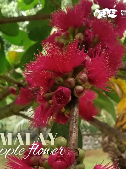 Discovery Village Resorts - Nature-based Getaways & Stays Quiet Moments & Relaxation photo 31