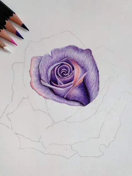 The very first stage of the purple rose, with just the center petals colored in.